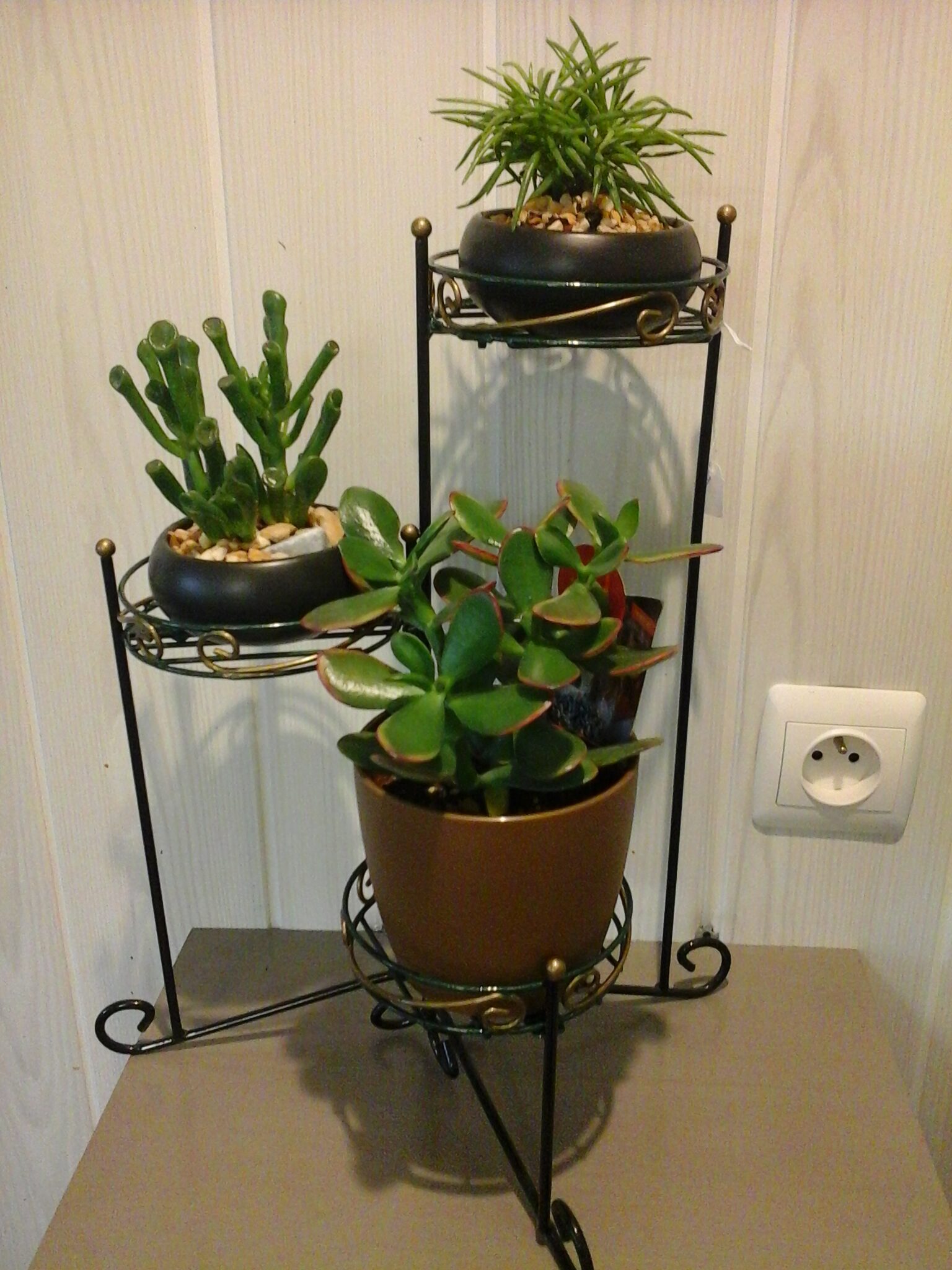 Trio d'étagères à plantes